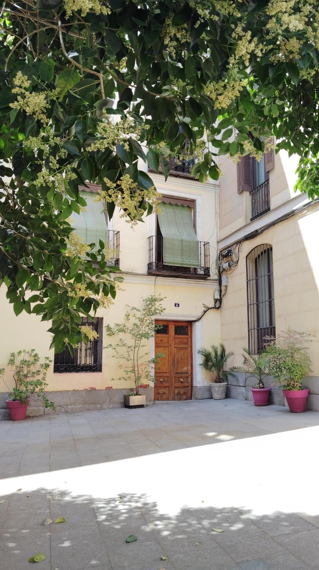 Centrico Apartamento Con Patio مدريد المظهر الخارجي الصورة